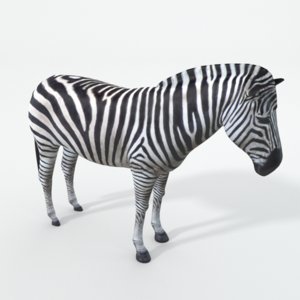3D zebra model