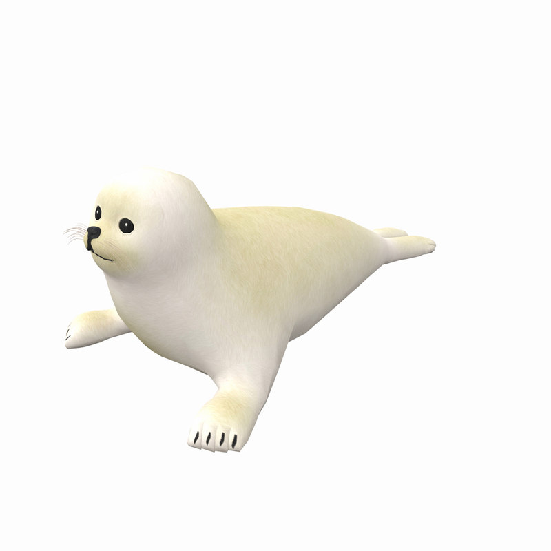 3D model harp white seal photo realistic - TurboSquid 1316912