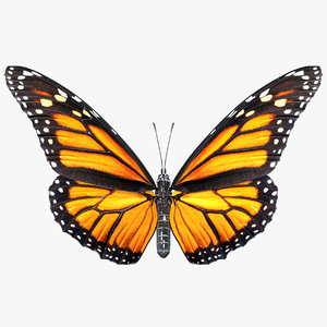monarch butterfly rigged 3D model
