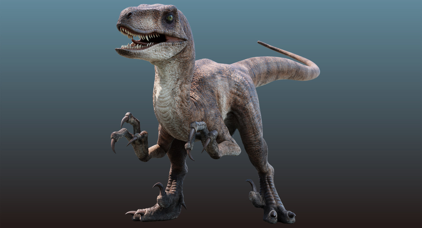 raptor dinosaur 3d