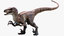 3D velociraptor animation raptor