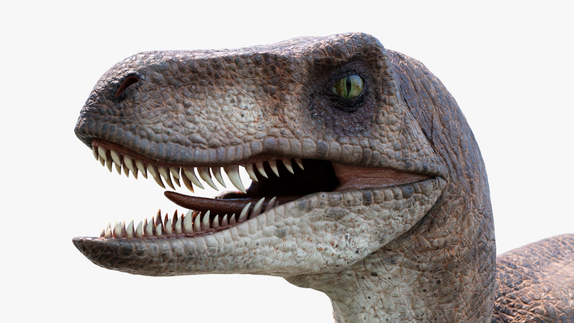 3d velociraptor