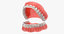 typodont tooth orthodontic retainer model