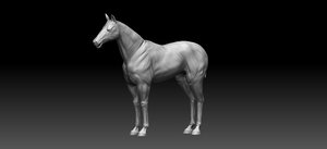 3D model horse realistic zbrush