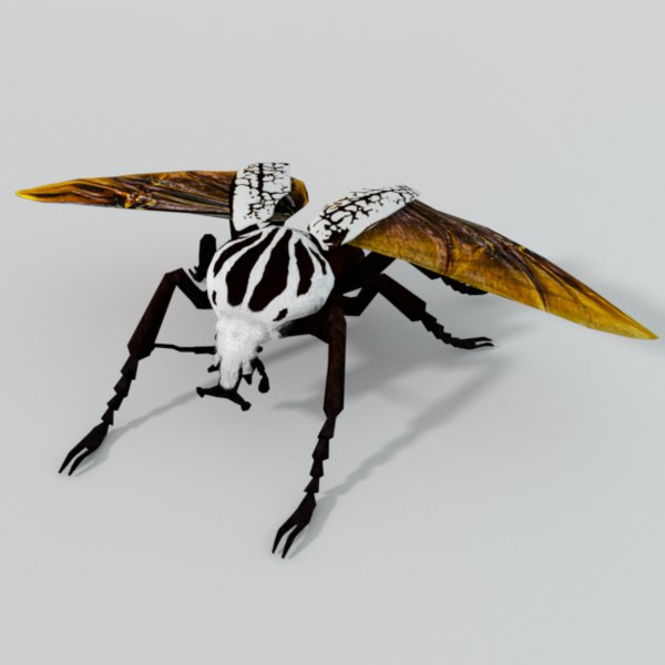 3d goliath beetle