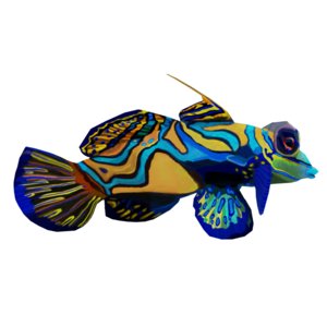 mandarin fish 3D model