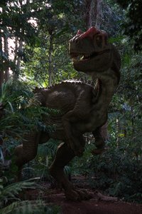 3D allosaurus rig studio license model