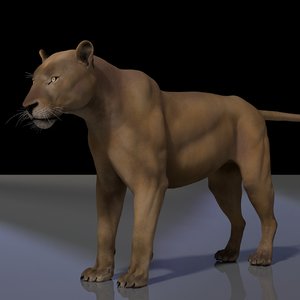 lion rig studio license 3D model