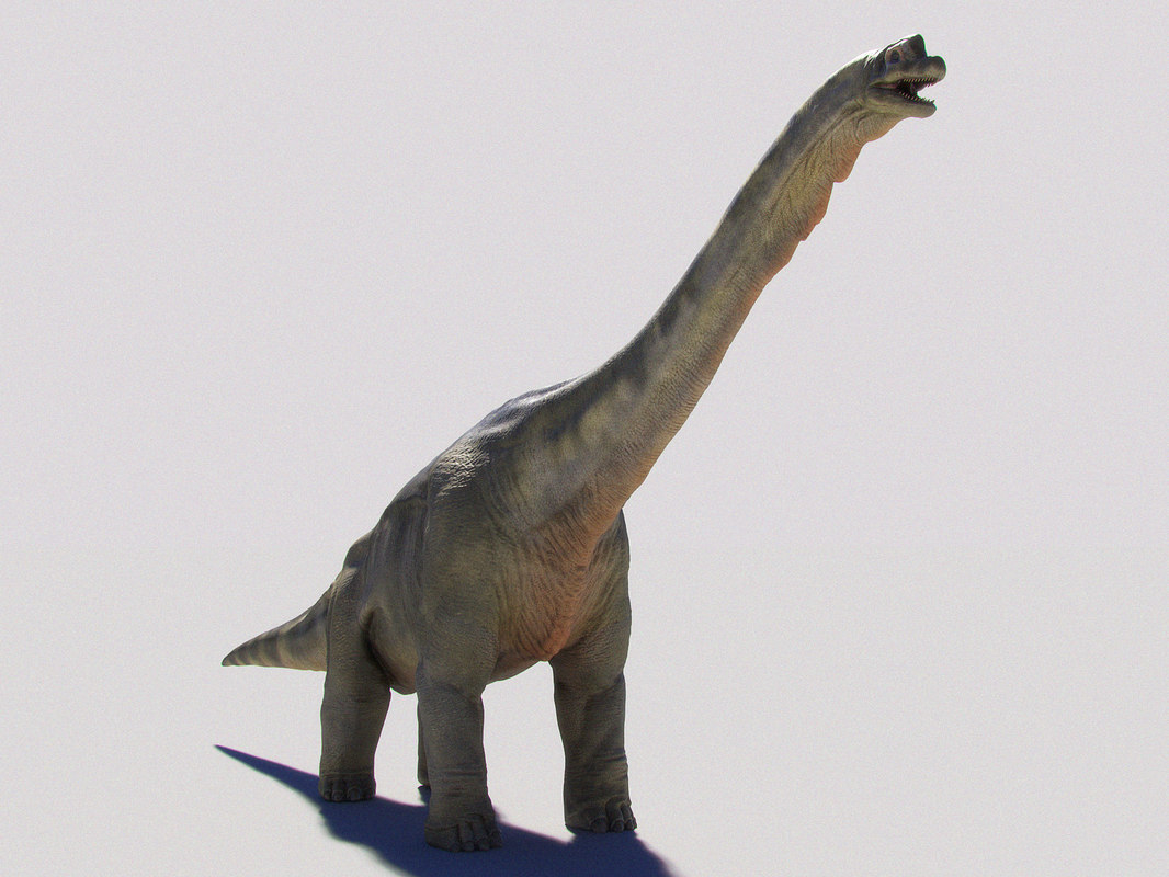 clay brachiosaurus