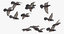 3D flock flying pigeons small