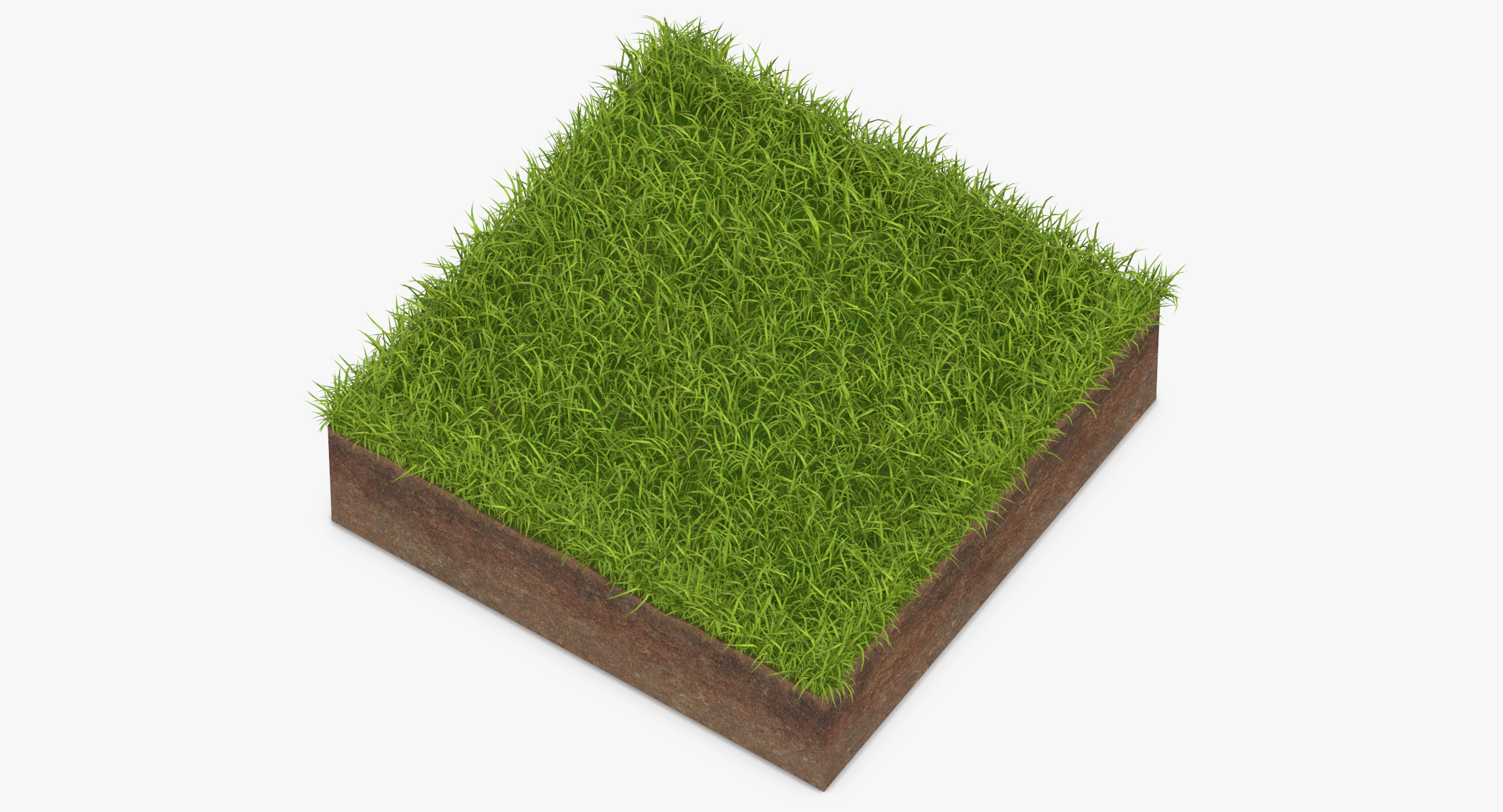 3D model grass cross section 01 - TurboSquid 1320696