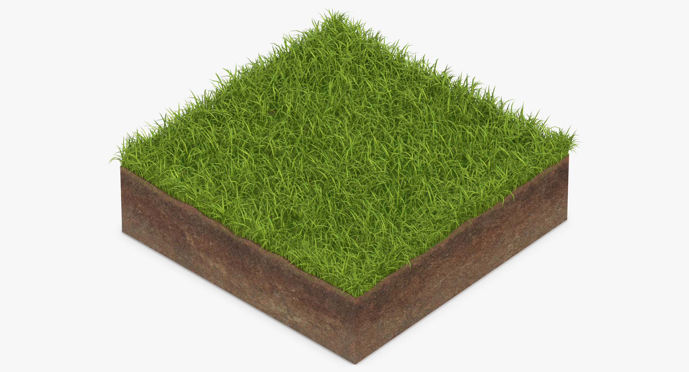 3D model grass cross section 01 - TurboSquid 1320696