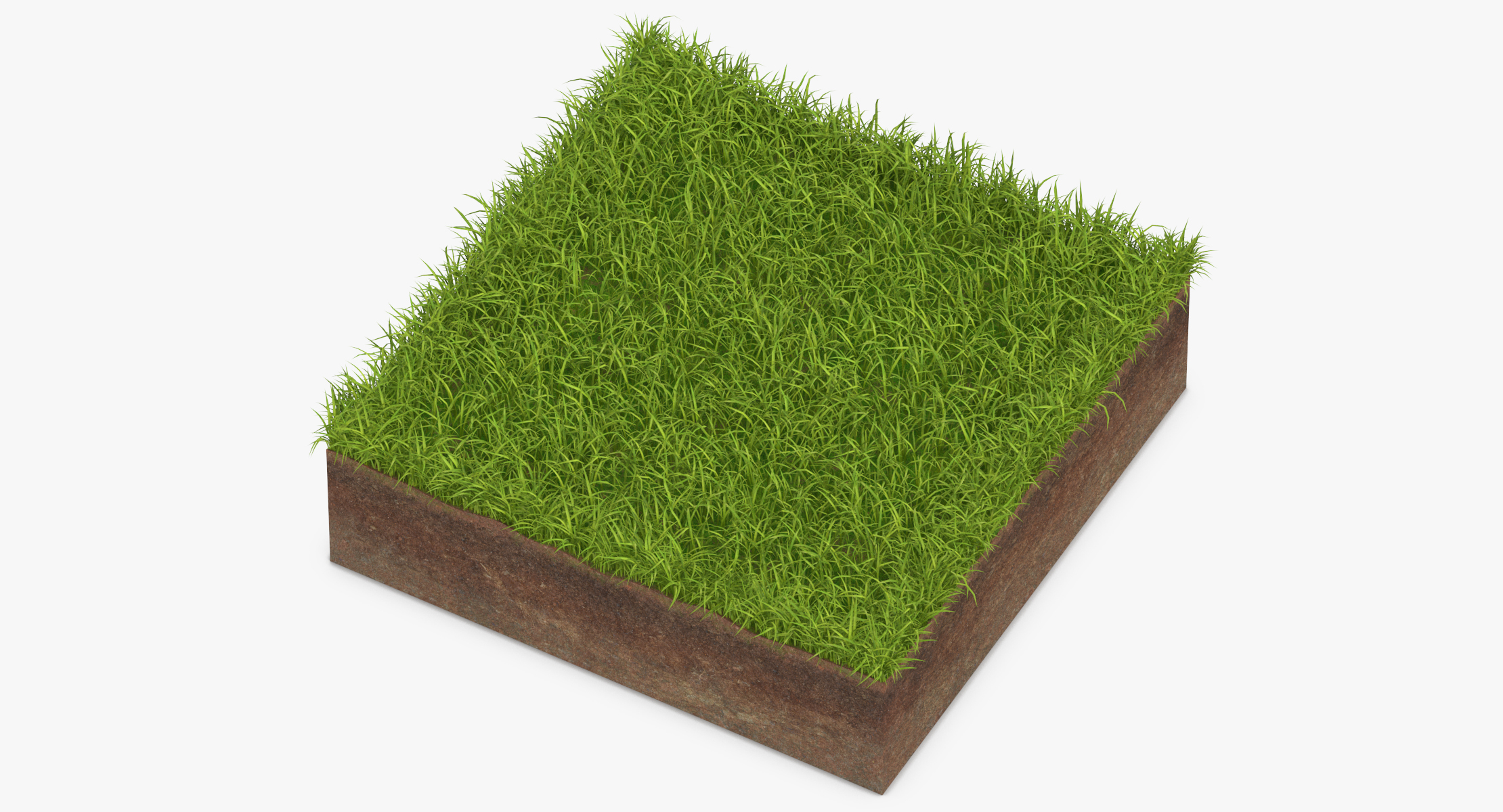 3D model grass cross section 01 - TurboSquid 1320696