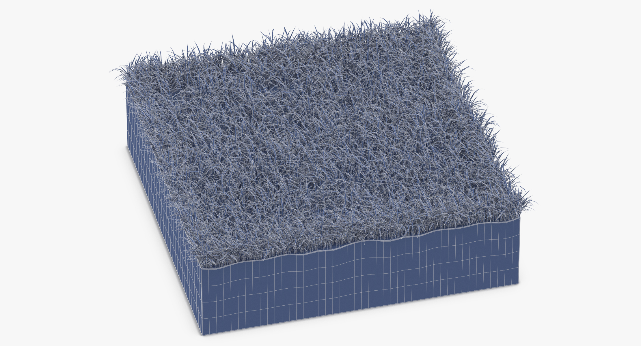 3d Model Grass Cross Section 01 - Turbosquid 1320696