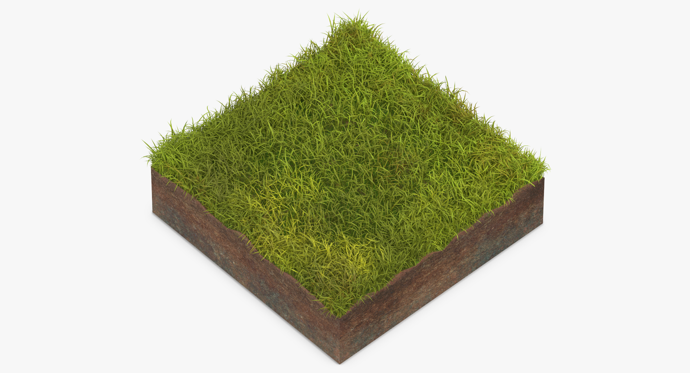 Grass Cross Section 03 3d Model - Turbosquid 1320699