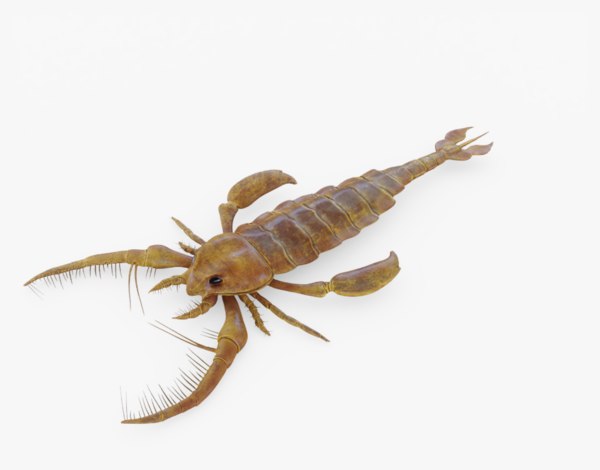 3D model rigged jaekelopterus sea scorpion TurboSquid 1320705