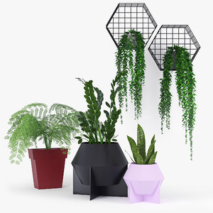 3D plant