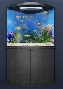 reef aquarium 3D model