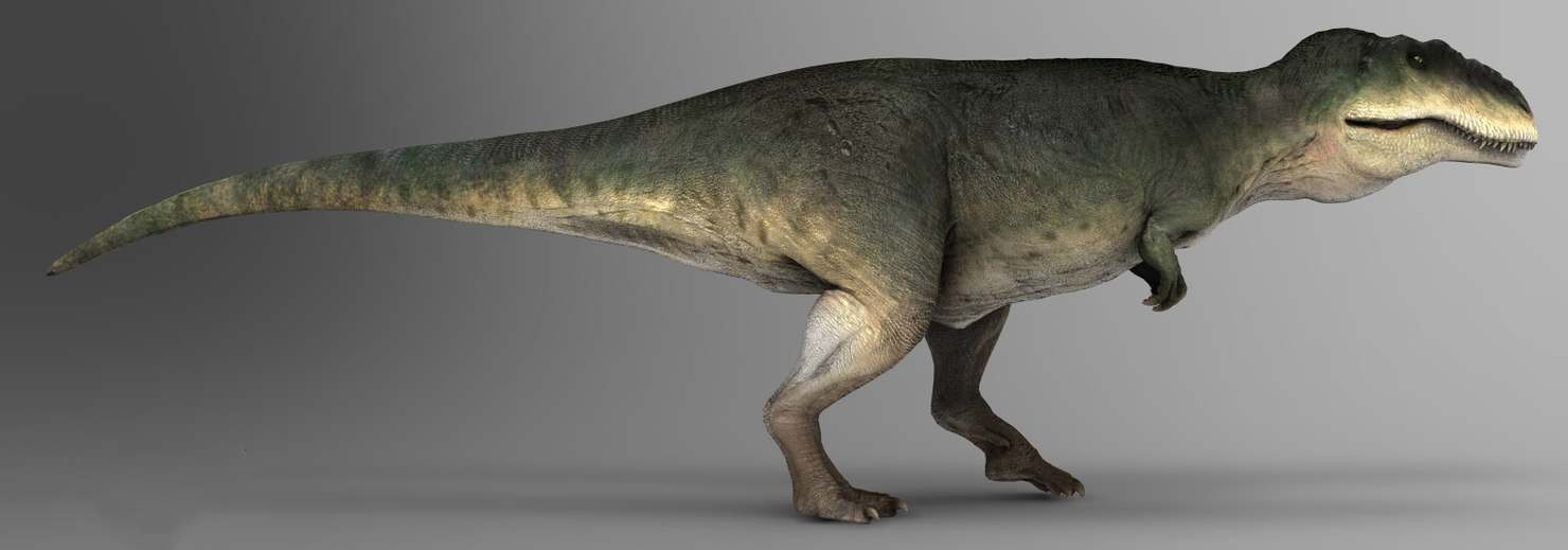 giganotosaurus herbivore