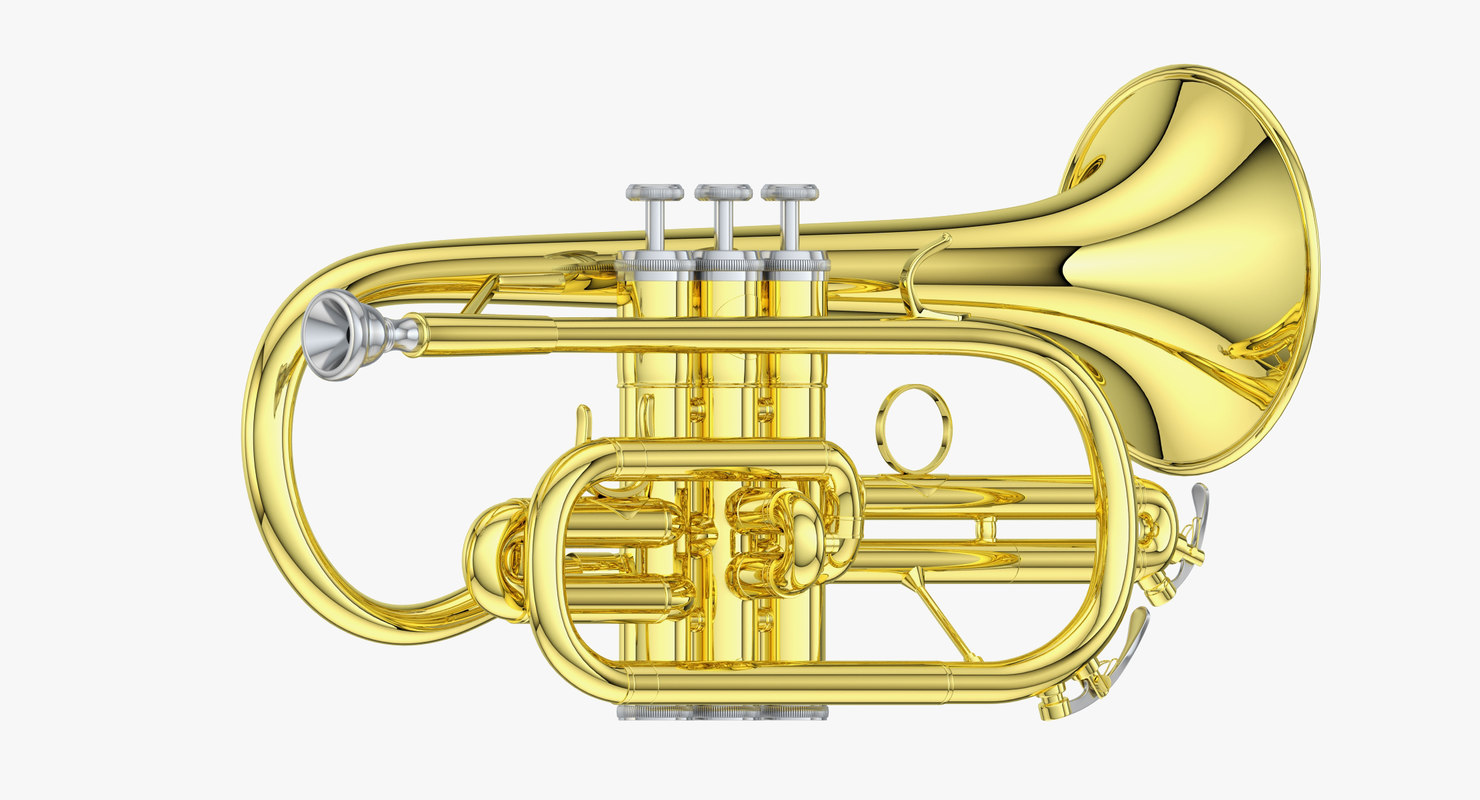 Trumpet flugelhorn 3D TurboSquid 1321538