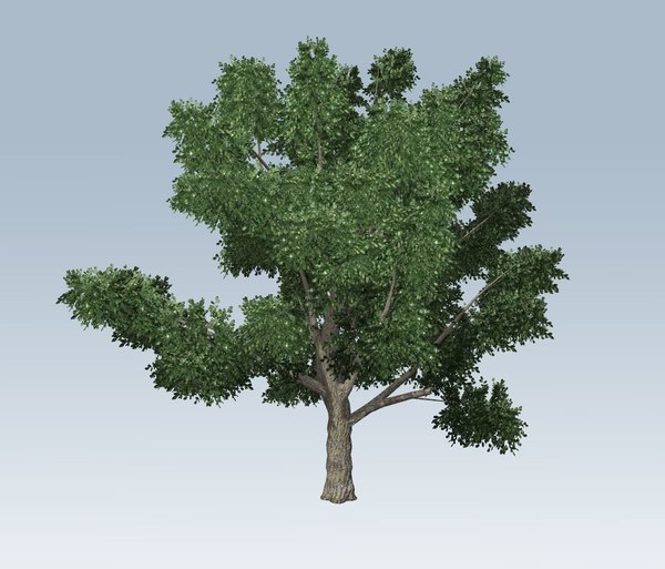 rhino tree model 3dm