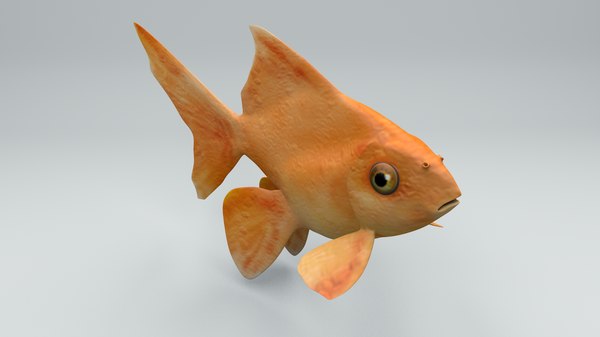 Goldener Fisch 3d Modell Turbosquid