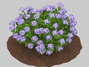 3D hydrangea flowers landscaping model