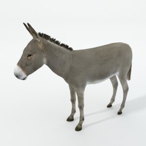 donkey 3D model