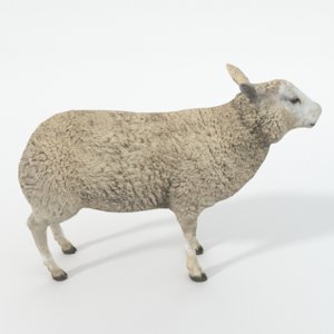 3D model sheep
