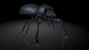 3D dung beetle