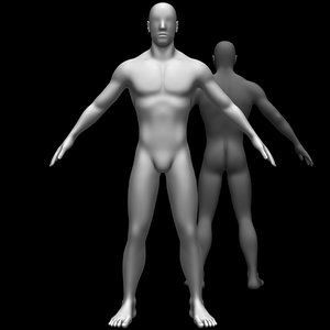3D male body base