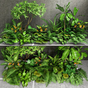 tropical plants 3D model