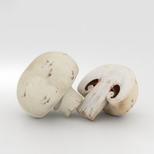 champignon 3D model
