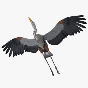 great blue heron rigged 3D model