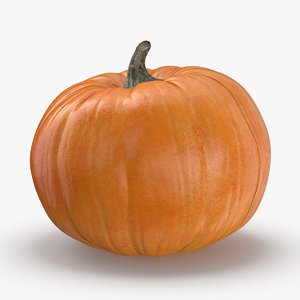 pumpkin-patch---01 3D model