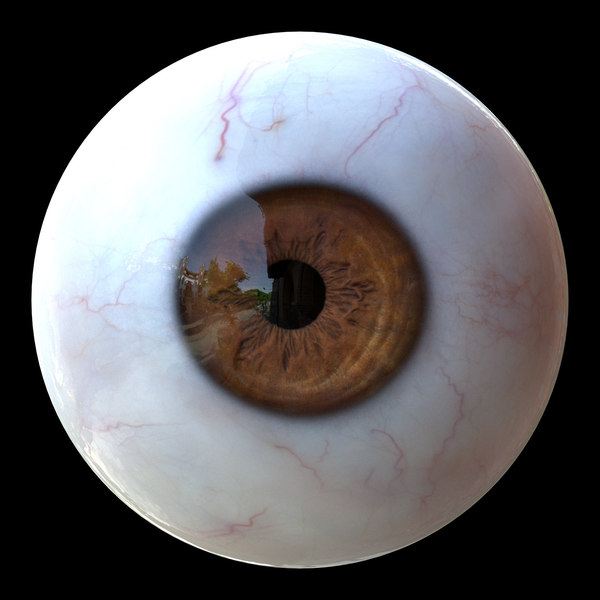 3D iris anatomy eye pupil model - TurboSquid 1324368