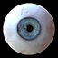 3D iris anatomy eye pupil model