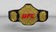 3D ufc champion belt