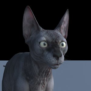 3D sphynx cat rig