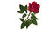 red rose 3D model