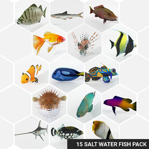 3D 15 saltwater fish model