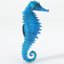 3D 16 marine animals model