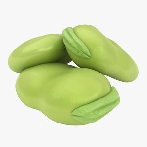 realistic broad bean 3D model