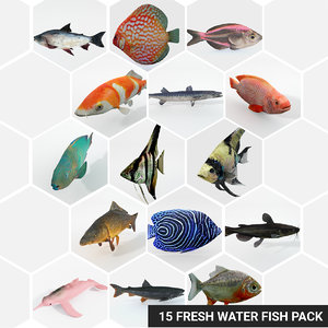 3D 15 freshwater fish catfish model