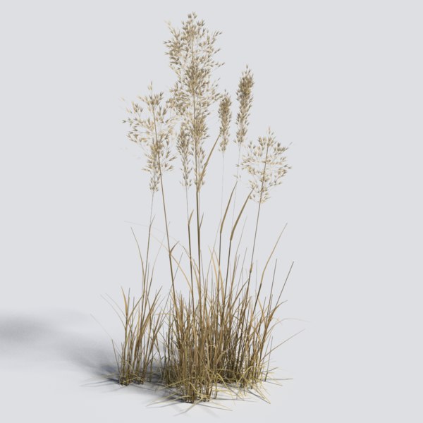 Free Blender Grass Models TurboSquid