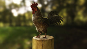 rooster realistic character model