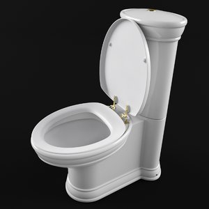 3D toilet