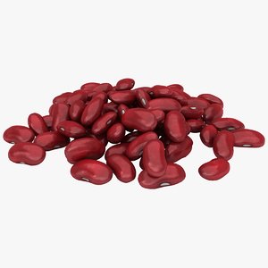 realistic red kidney bean 3D model