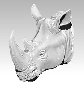 rhino head 3D model