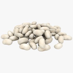 3D realistic white kidney bean
